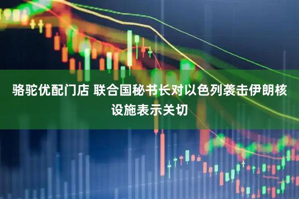 骆驼优配门店 联合国秘书长对以色列袭击伊朗核设施表示关切