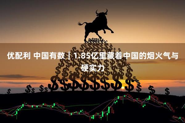 优配利 中国有数｜1.85亿里藏着中国的烟火气与硬实力