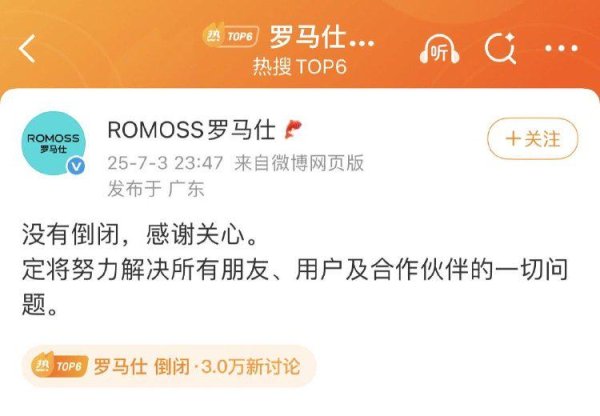 泽巨配资 从销冠到停工：罗马仕的充电宝危局