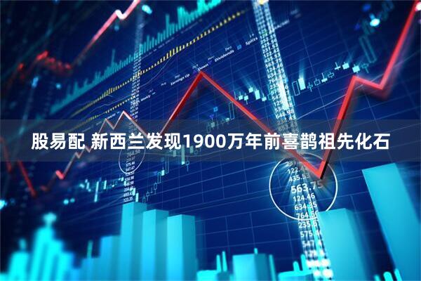 股易配 新西兰发现1900万年前喜鹊祖先化石